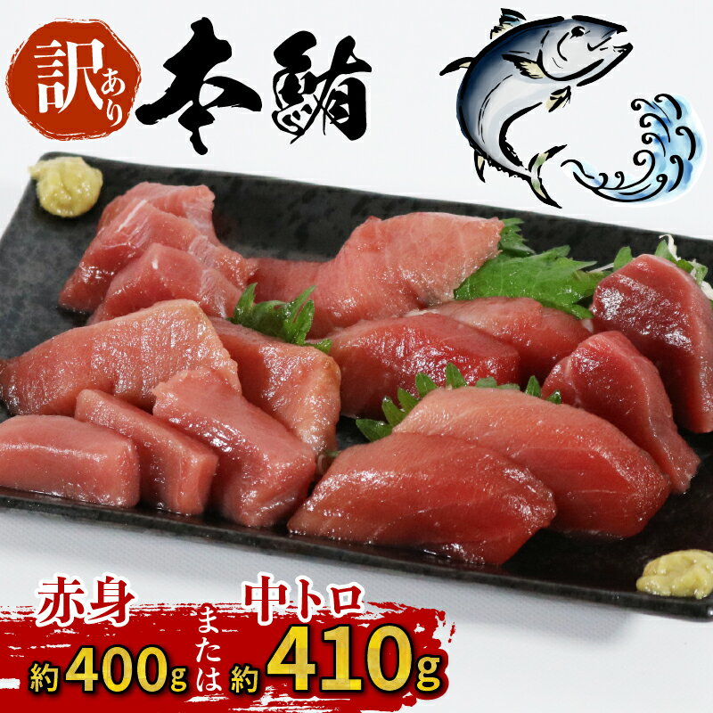 【ふるさと納税】 訳あり 本マグロ 中トロ 410g 赤身 400g 選べる 伊勢志摩まぐろ食堂 ／本マグロ 本鮪 専門店 マグロ 鮪 刺身 刺し身 お刺身 三重県 伊勢志摩 南伊勢町