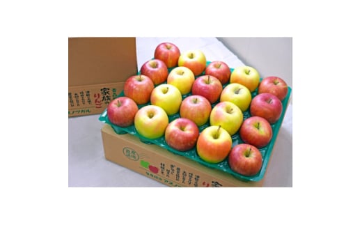 ＜26年2月出荷予定＞糖度13度以上保証! ぐんま名月×シナノスイート 約5kg 訳あり【1613012】