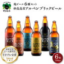 【ふるさと納税】妙高 高原 アルペンブリックビール 6種 ギフト セット (500ml×6本) ビール クラフトビール 地ビール エール ラガー 飲み比べ 送料無料 お取り寄せ 金賞受賞 家飲み 晩酌 詰め合わせ 贈り物 贈答 ギフト プレゼント お中元 天然水 新潟県