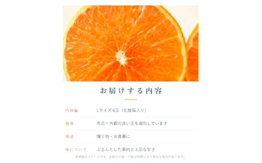 愛果28号 ( 紅まどんな と同品種 ) 秀品 Lサイズ 6玉 (化粧箱入り) 【2026年11月下旬より順次発送】 | あいか 愛媛みかん ミカン 蜜柑 まどんな フルーツ 柑橘 果物 ギフト 贈り