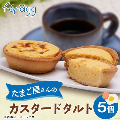 カスタードタルト　5個入り【配送不可地域：離島】【1340722】