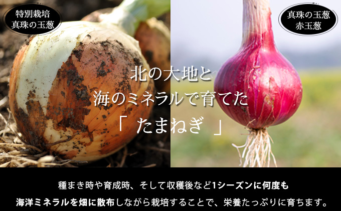 真珠の玉葱 特別栽培 L～L大サイズ 5kg (ルージュ5玉入り) ＜海のミネラルで育てた特別栽培玉葱＞｜玉ねぎ たまねぎ タマネギ 北海道産 岩見沢市【a134-008】【50108】 5kg+ルー