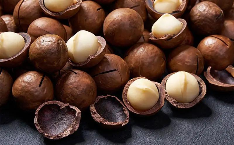 生チョコレート メゾンカカオ アロマ生チョコ 2種 生チョコレート【16粒×2箱 2種】【冷凍】