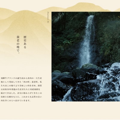 飛騨牛 サーロインブロック 5kg【配送不可地域：離島】【1622929】