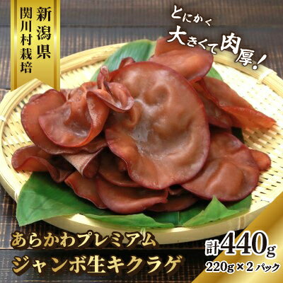 【ふるさと納税】あらかわプレミアムジャンボ生キクラゲ220g×2パック【配送不可地域：離島】【1442523】