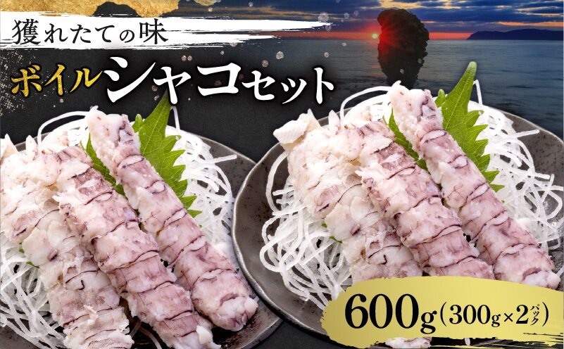 獲れたての味！ ボイルシャコ 300g ×  2 パック 甲殻類 魚介類 ボイル 天ぷら 鍋の具  唐揚げ パスタ アヒージョ 寿司ネタ BBQ 海鮮 冷凍 蝦蛄 お取り寄せ 北海道 余市町_Y022-0022