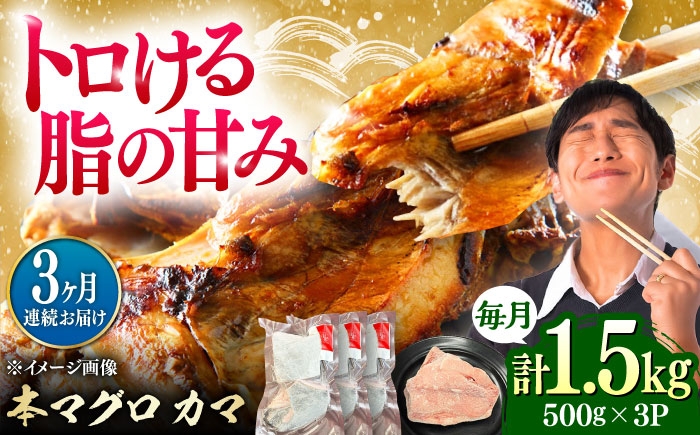 
                  【全3回定期便】対馬産 本マグロ カマ 1.5kg ≪対馬市≫【桐谷商店】 トロの華 対馬 新鮮 マグロ かま 鮪 [WAQ100]
                