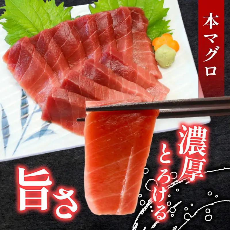 天然本マグロ　天然南マグロ　中トロ各１柵　（計４００ｇ）　食べ比べまぐろ 鮪 海鮮 冷凍 さしみ 刺身 父の日 高知 室戸 マグロ