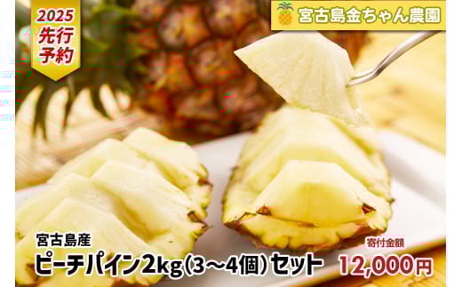 《先行予約》【2025年発送】宮古島産ピーチパイン 2kg（3～4個）セット《金ちゃん農園》