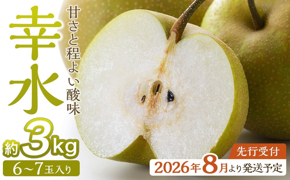 
            【2026年発送／先行予約】梨「幸水」約3kg（6～7玉入）【松崎果樹園】
          