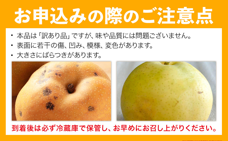 先行予約 訳あり 旬の梨 約8kg 幸水 豊水 あきづき 新高 にっこり《8月上旬-10月中旬頃出荷予定》 栃木県 野木町 なし ナシ くだもの 果物 青果物 フルーツ