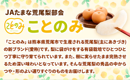 梨 梨 秀品 荒尾梨 「ことのみ」 あきづき  約4.5～5kg(10_16玉) 《9月上旬-9月中旬頃出荷》 JAたまな荒尾梨部会 梨  