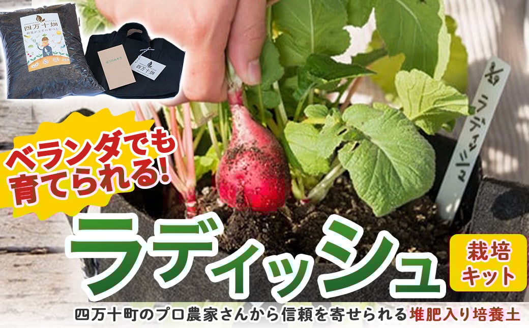 
ベランダでも育てられるラディッシュ栽培キット　Fis-A08　趣味 ガーデニング 家庭菜園 園芸 ベランダ菜園 プランター 種 種子 プロ仕様の肥料 培養土 サラダに
