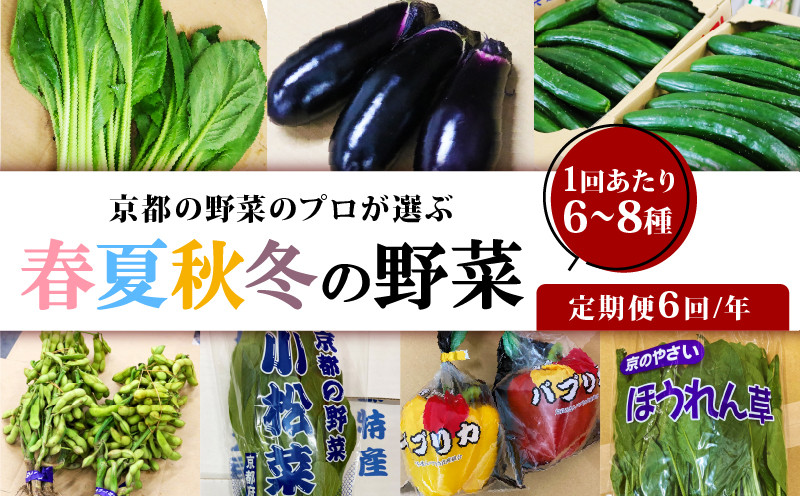 
            定期便 6回 京都 野菜 6～8種 年6回 旬  京野菜 春 夏 秋 冬 なす とうもろこし トマト ねぎ ごぼう 水菜 鍋 サラダ おかず 京都府 人気 おまかせ 詰め合わせ セット  京印京都南部青果 市場
          
