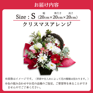 【クリスマス】 フラワーアレンジメント（S） / 生花 フラワーアレンジメント 花束 綾部市 / 有限会社トリオ［BSDZ056］