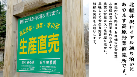 【 8月 上旬発送開始】 まぼろしの419キャベツ 4玉 幻のキャベツ419 きゃべつ 嬬恋村産キャベツ 幻のキャベツ419 産地直送 期間限定 先行予約 人気 朝採り 通販 お取り寄せ 関東 群馬 