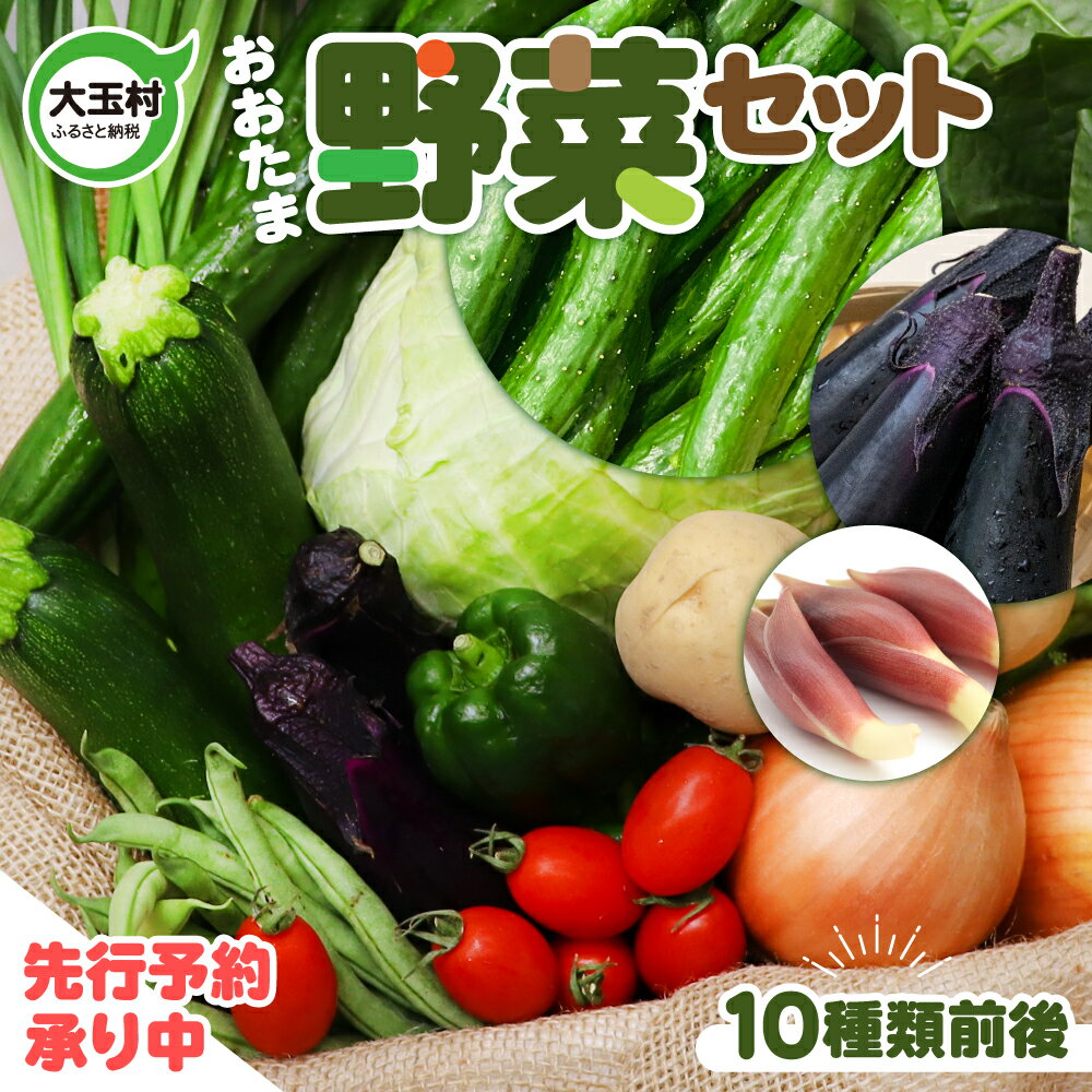 【ふるさと納税】野菜セット ( 10種類前後 詰め合わせ ) 《 先行予約 ｜2025年6月以降順次発送》 おまかせ お試し 旬 野菜 ｜ 採れたて 新鮮 産地直送 SDGs 炒め物 サラダ グリル 煮物 スープ 鍋 5000円 5000円以下 ｜ 送料無料 福島県大玉村 01104