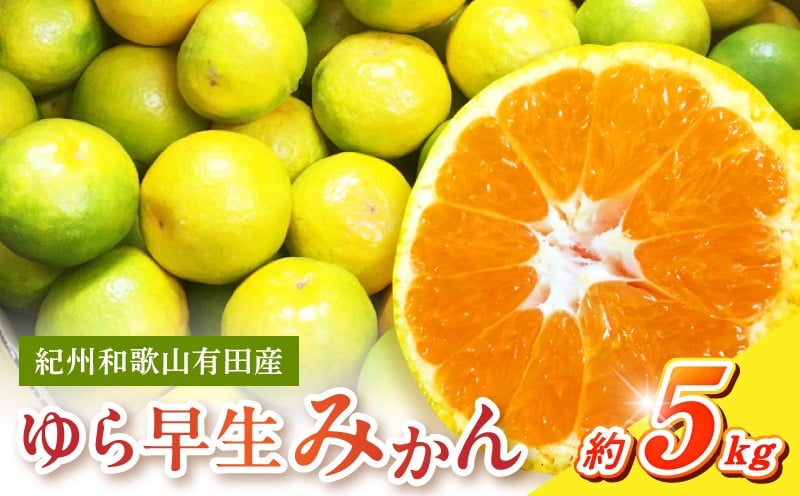 
                  G7097_【2026年 先行予約】紀州和歌山有田産 ゆら早生みかん 5kg【ミカン 蜜柑 柑橘 温州みかん わせみかん】
                