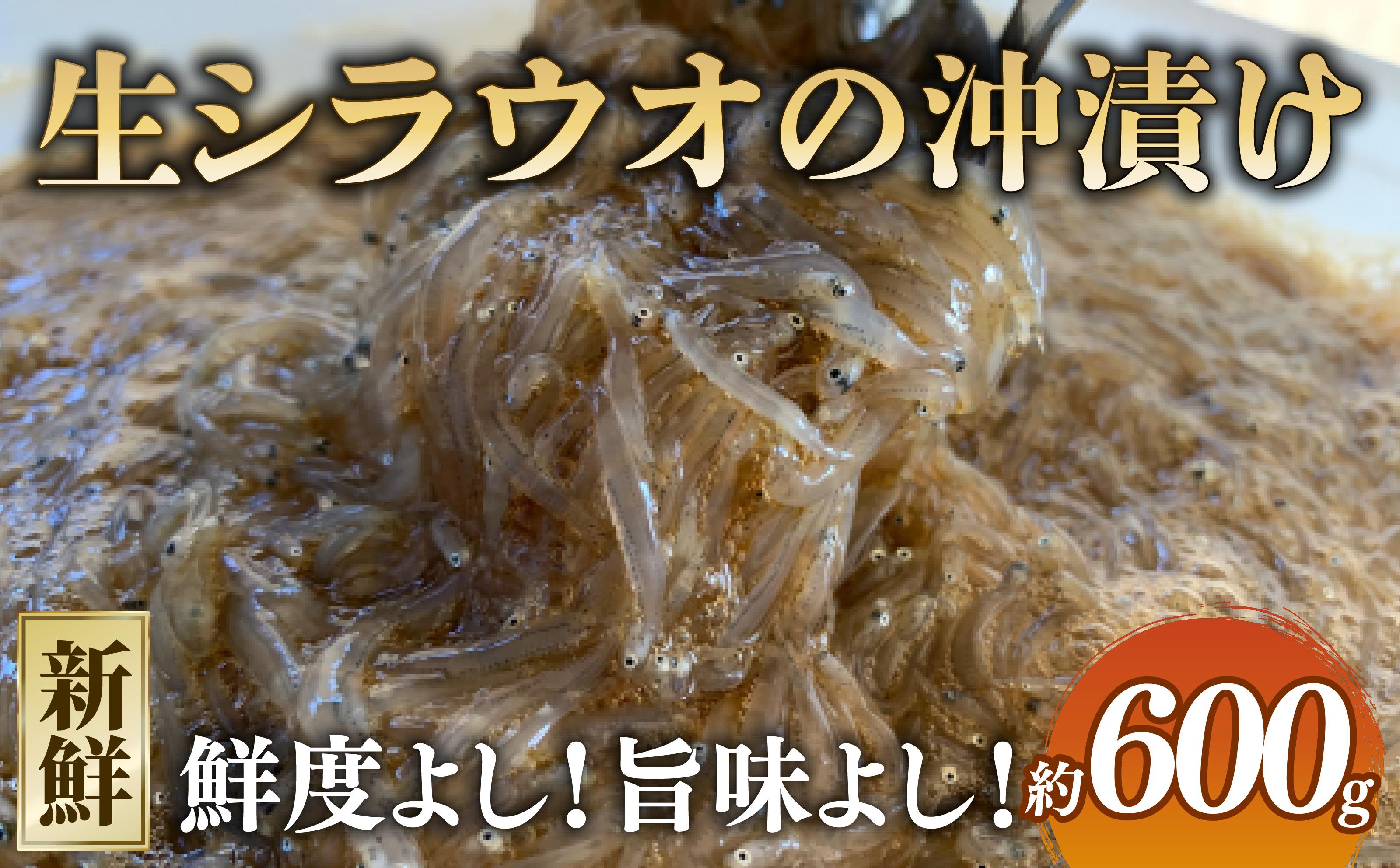 
                  生シラウオの沖漬け 600g (100g×6P) 1パック2人前 白魚 しらうお シラウオ 沖漬け 小魚 醤油 タレ 魚介類 無添加 小分け 海の幸 海 魚 ご飯のお供 贈答 ギフト プレゼント 贈答 記念日 お祝い 送料無料 ふるさと納税 飯岡ヤマイチ水産-大納屋- 千葉県 旭市 iys003
                
