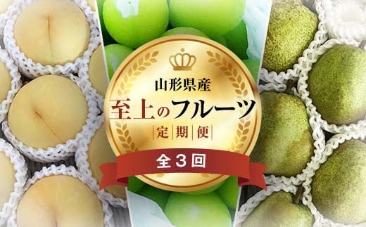 《2025年先行予約》 山形県 至高のフルーツ！ 山形県至上のフルーツ定期便 全3回 FSY-2014