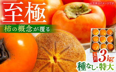 【先行予約】【10月中旬〜11月下旬発送】種なし柿 太月・渋抜き柿 3kg【小林農園】[HAX001]かき 果物 フルーツ