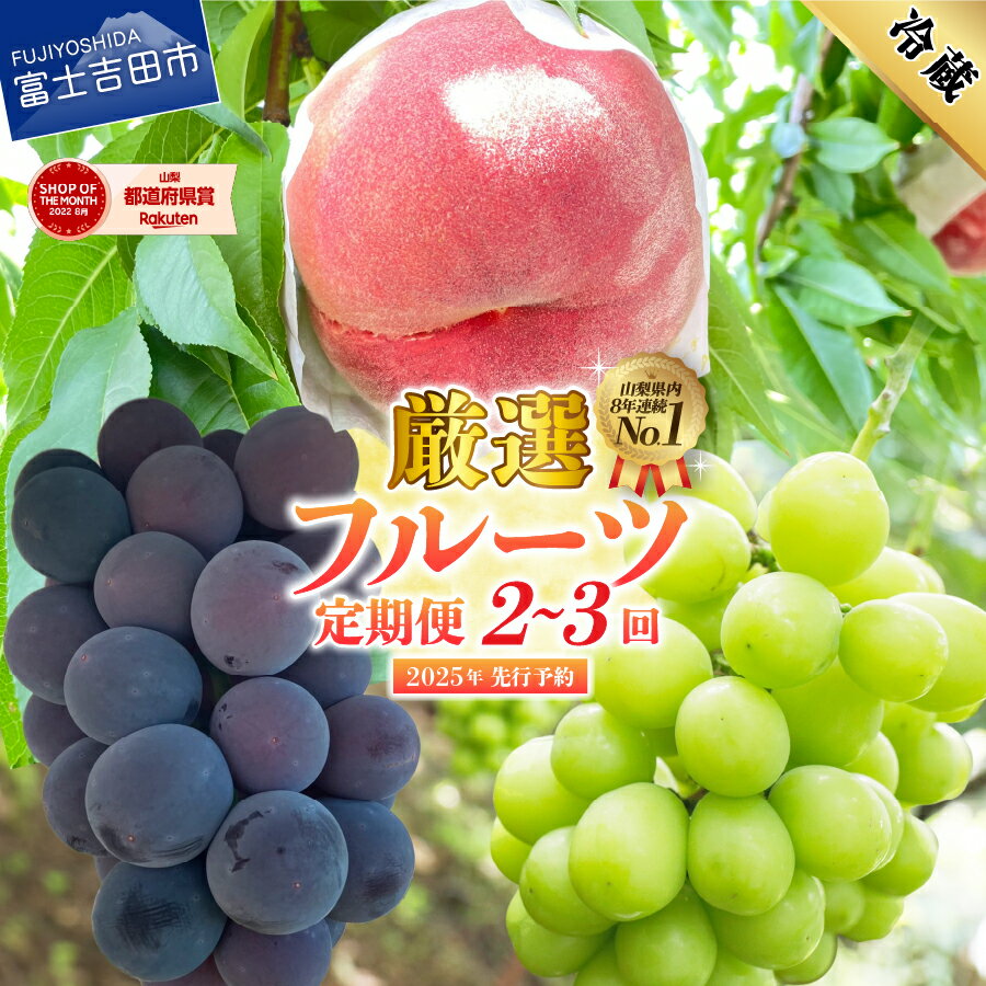 【ふるさと納税】 定期便 フルーツ 桃 シャインマスカット 黒ぶどう 選べる回数 2回 3回 白鳳 白桃 もも 大玉 ブドウ 1房 500g以上 果物 フルーツ おひとりさま 自分へのご褒美 先行予約 数量限定 期間限定 【2025年7月中旬頃～10月中旬頃まで順次発送】 山梨 富士吉田市