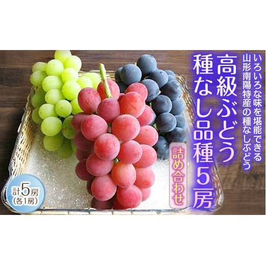 【令和8年産先行予約】 高級ぶどう 種なし品種 5房詰合せ 《令和8年9月中旬～発送》 『漆山果樹園』 葡萄 ぶどう ブドウ 種なし 新鮮 果物 フルーツ デザート 山形県 南陽市 [662-R8]