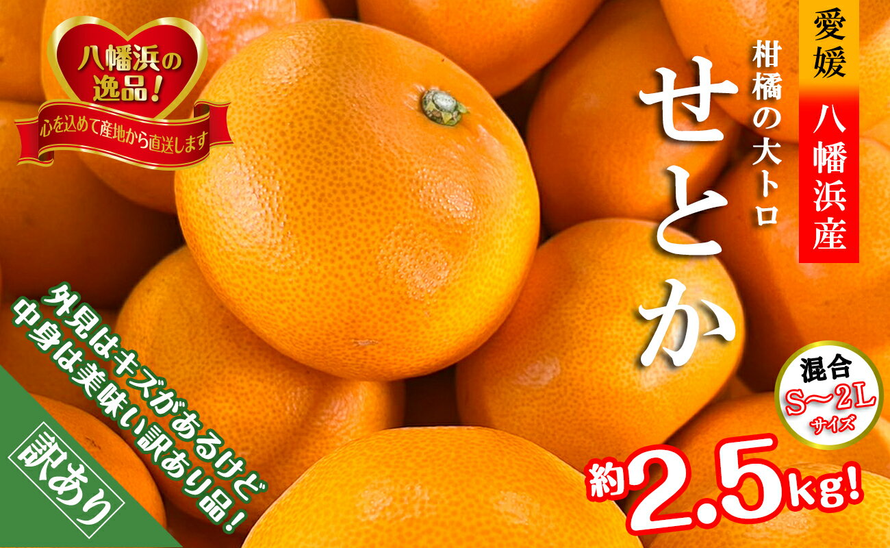 【ふるさと納税】2026年2月〜順次発送　柑橘の大トロ!「せとか」約2.5キロ【訳あり品・家庭向け】【C39-65】_【配送不可地域：離島】【1619102】YWTF040