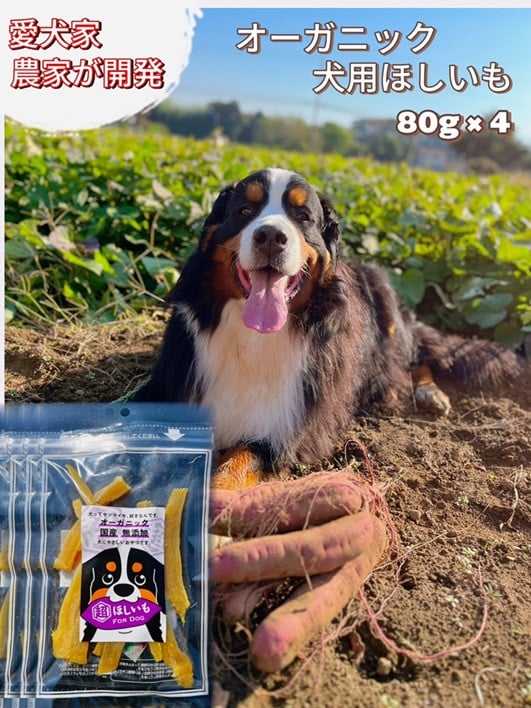 
            No.333 犬用オーガニックほしいも　80g×4 ／ 犬用おやつ しっとり 柔らかめ 愛犬 ペット 干芋 干し芋 さつまいも サツマイモ 芋 シンプル 素材 自然 千葉県
          