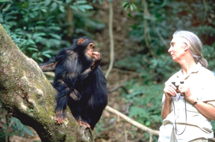 【訳あり】動物保護支援 ブレンドコーヒー 富士山の湧き水で磨いた スペシャルティコーヒー 粉 800g
