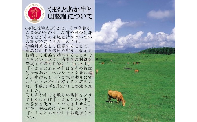 焼肉セット 炭火 牛肉 あか牛 600g 熊本県産 GI認証取得 くまもと 赤牛 熊本 和牛 肥後 焼き肉用 切り落とし 配送不可:離島