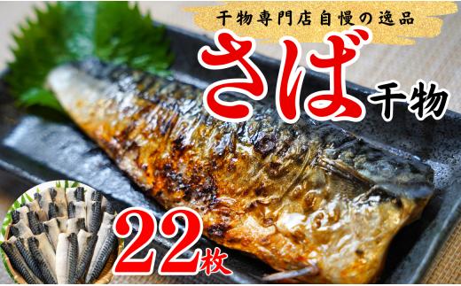 
無添加 塩さば 干物 22枚 大容量 さば 鯖 魚 和食 惣菜 簡単 調理 さかな 時短 無添加 健康 おかず 千葉 銚子 千葉県 銚子市
