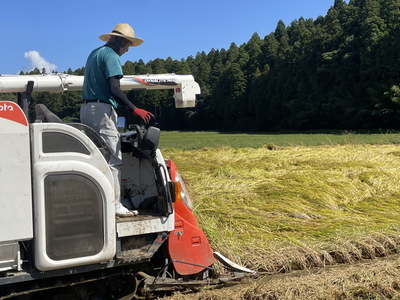 【令和7年産新米】井田農園のコシヒカリ 精米 5kg 能登産『里山里海』の特撰米  | こめ 訳あり 生活応援価格 ご家庭用 石川県 七尾
