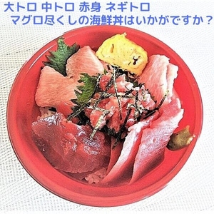 天然 南鮪 大トロ 中トロ ネギトロ の 詰合せ約1kg (a25-026)
