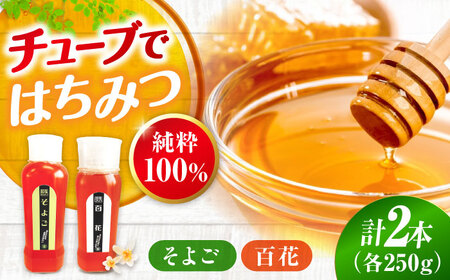 はちみつ チューブ2本セット（百花・そよご）各250g [APBO010] はちみつ