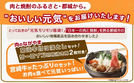 【元気モリモリ福袋】宮崎牛切り落とし・鉄板焼き用サーロイン2枚セット_AE-2501_(都城市) A4 4等級 牛肉 牛バラ切り落とし肉 牛ウデ・牛モモ切り落とし肉 各500g