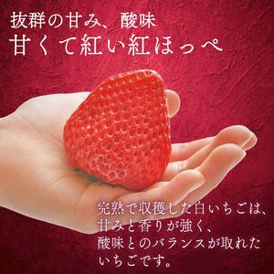 いちご 紅ほっぺ 400g 【 紅ほっぺ 】 計2パック 苺 イチゴ べにほっぺ