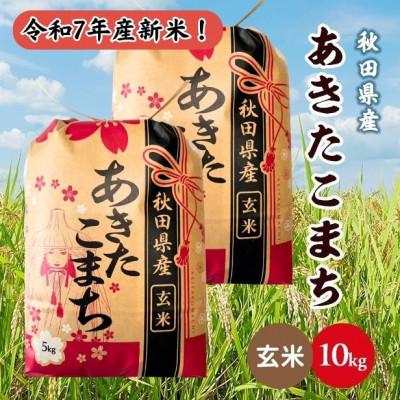 ふるさと納税 潟上市 新米!令和7年産 秋田県産あきたこまち 10kg(5kg×2袋)(玄米)