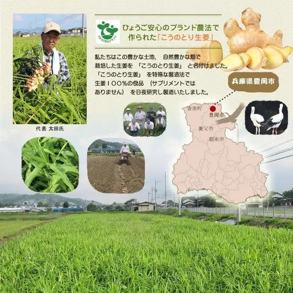 ハチミツ生姜ギフト5個セット（150ml×5個）/ はちみつ しょうが こうのとり生姜 食品 加工食品