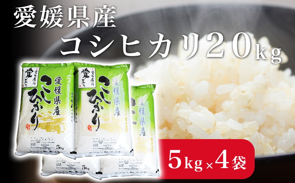 
            米 こめ お米 おこめ コシヒカリ こしひかり 20kg 白米 ごはん 四国中央市 愛媛県 おいしい ふっくら 【四国中央市 紙のまち 日本一】
          