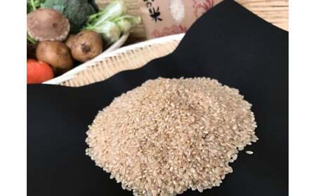 【栽培期間無農薬＆減農薬】お米5kgと野菜セット 【おいしい ごはん やさい セット グルメ 無農薬 減農薬】（KBE-22）
