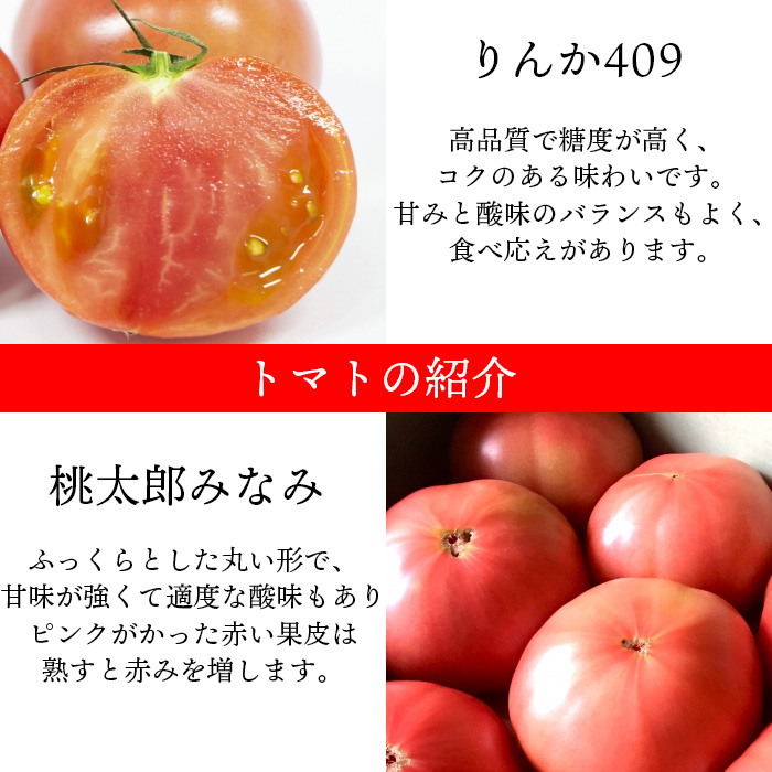 【岩手県産】こだわり大玉トマト 約2kg ／ 【田村和大】 とまと 大玉とまと 新鮮 夏野菜 旬 期間限定 季節限定 野菜 お野菜 八幡平市産 産地直送 農家直送 国産