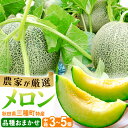 【ふるさと納税】三種町特産 品種お任せ メロン 詰合せ 中箱 3～5個