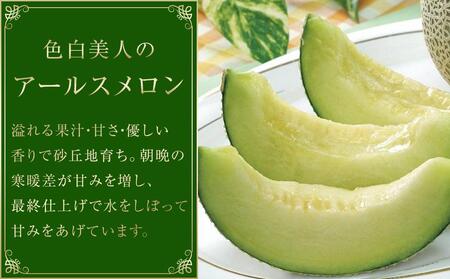 石川アールスメロン 1.3kg×2個