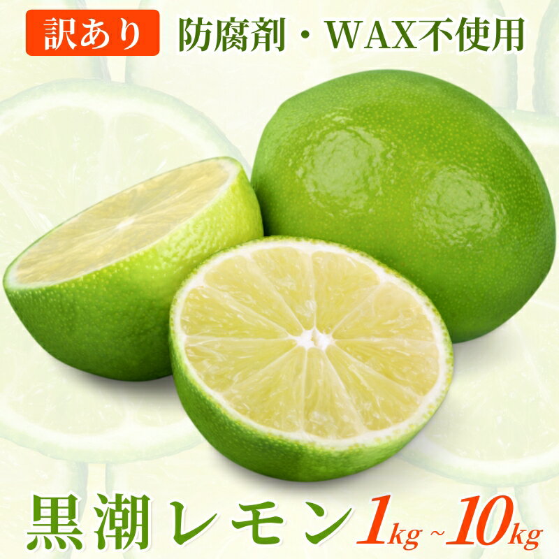 【ふるさと納税】わけあり レモン 【選べる容量】 1kg 2.5kg 5kg 7.5kg 10kg【和歌山有田産】【防腐剤・WAX不使用、安心の国産レモン】【わけあり・訳ありレモン】 ※北海道・沖縄・離島への配送不可