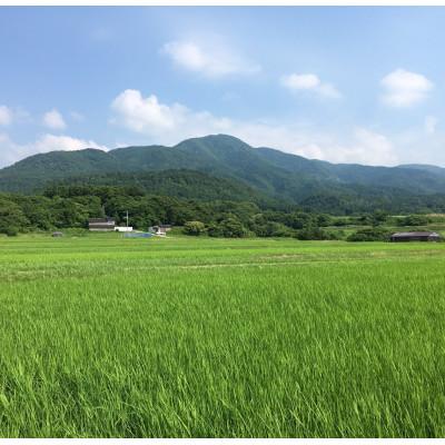 ふるさと納税 佐渡市 【令和6年産】佐渡高千産コシヒカリ 3kg×3袋(精米) + しそ味噌 100gセット |  | 02