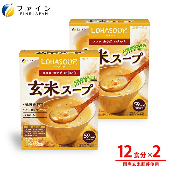 【ふるさと納税】H-243　LOHASOUP 玄米スープ12袋×2個セット