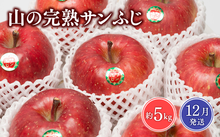 12月 吹田りんご園 山の完熟サンふじ約5kg 【吹田りんご園・青森りんご・平川市広船産・12月】