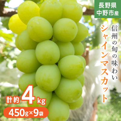 
                  長野県中野市産ぶどう・シャインマスカット450g 9袋入り1箱【1494268】
                