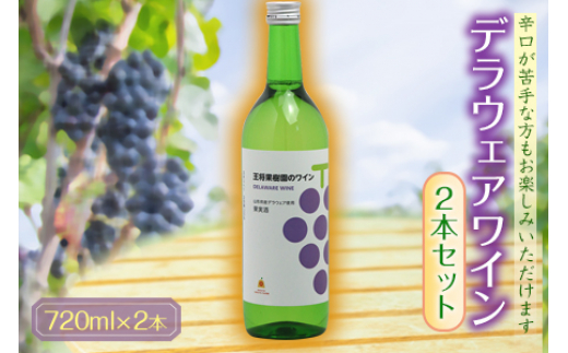 デラウェアワイン2本セット F2Y-4633